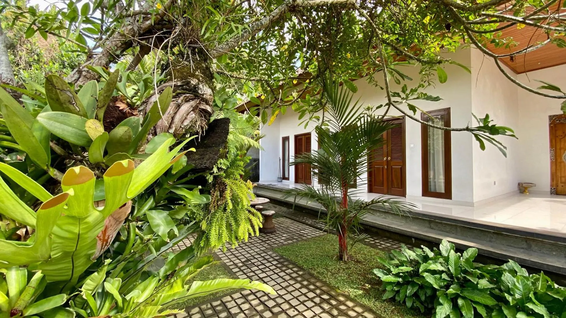 Willow Homestay Ubud  0*, Ubud (Bali)