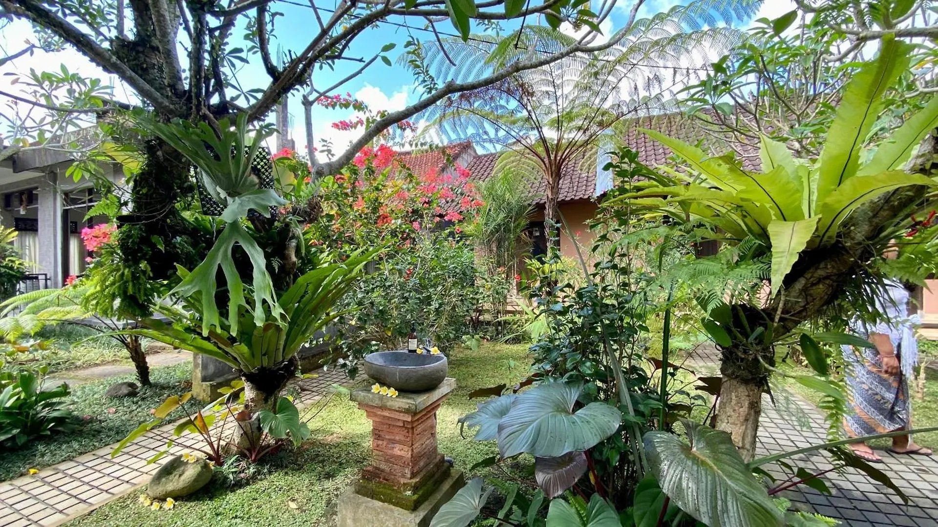 Willow Homestay Ubud  Indonesia